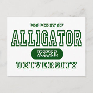 Alligator University Postcard