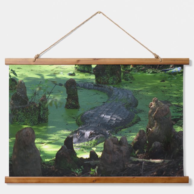 Alligator Wildlife Nature Swamp Photography Hanging Tapestry (Front)