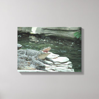 Alligator wrapped canvas