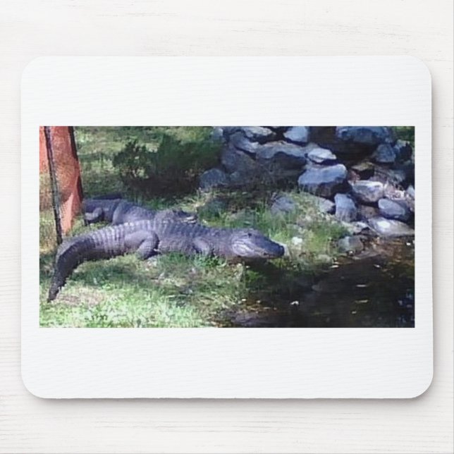 Alligator!! Zoo Animals design Mouse Mat (Front)