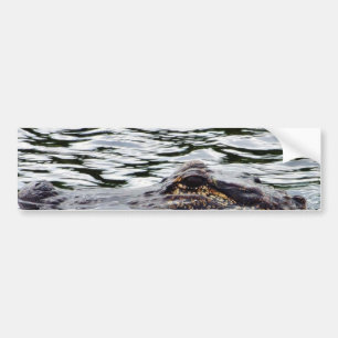 Alligators Bumper Sticker
