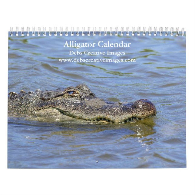 Alligators in the Wild 2026 Calendar (Cover)