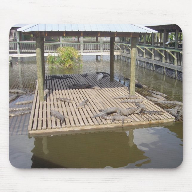 Alligators Lying In The Sun Mouse Pad (Front)