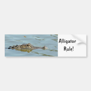 Alligators Rule Bumper Sticker