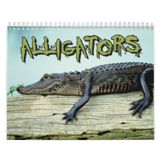Alligators Wall Calendar