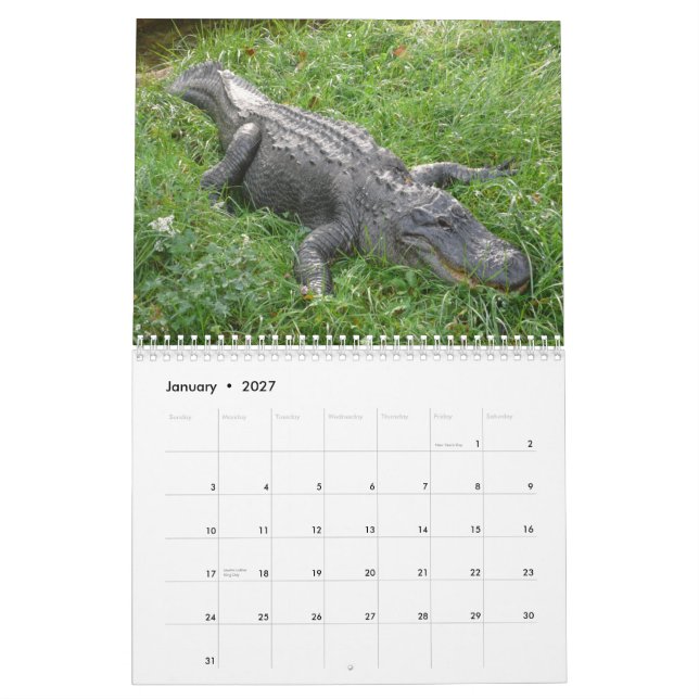 Alligators Wall Calendar (Jan 2027)