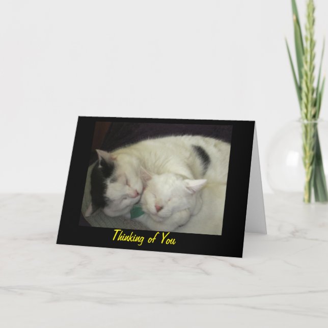 Allis & Abbie Thinking of You Greeting Card (Front)