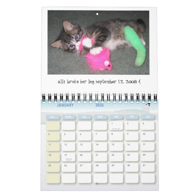 Alli's Day Mini Calendar 2009-2010 (Jan 2026)