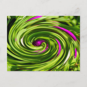 Allium Abstract Postcard