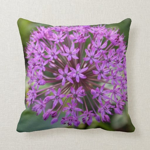 Image of Allium American Mojo Pillow/Cushion Cushion