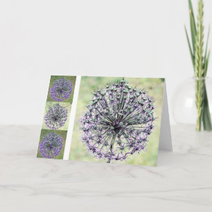 Allium Card