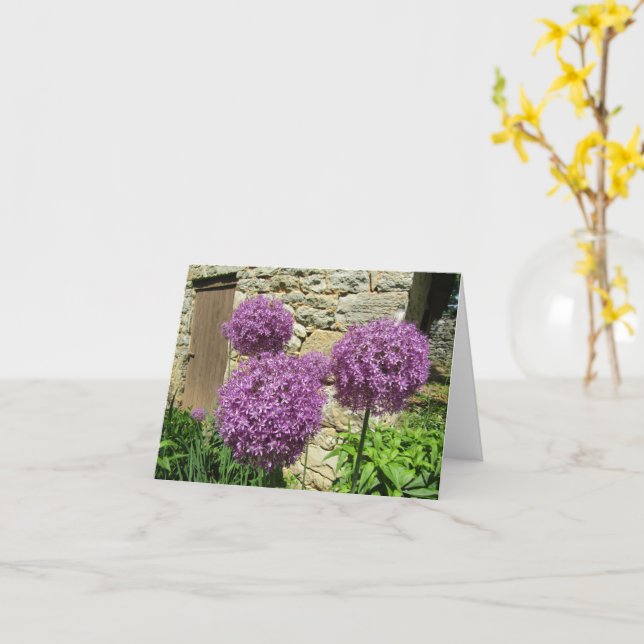 Allium card (blank) (Yellow Flower)