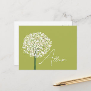 Allium Flower Botanical Art Elegant Flora Postcard