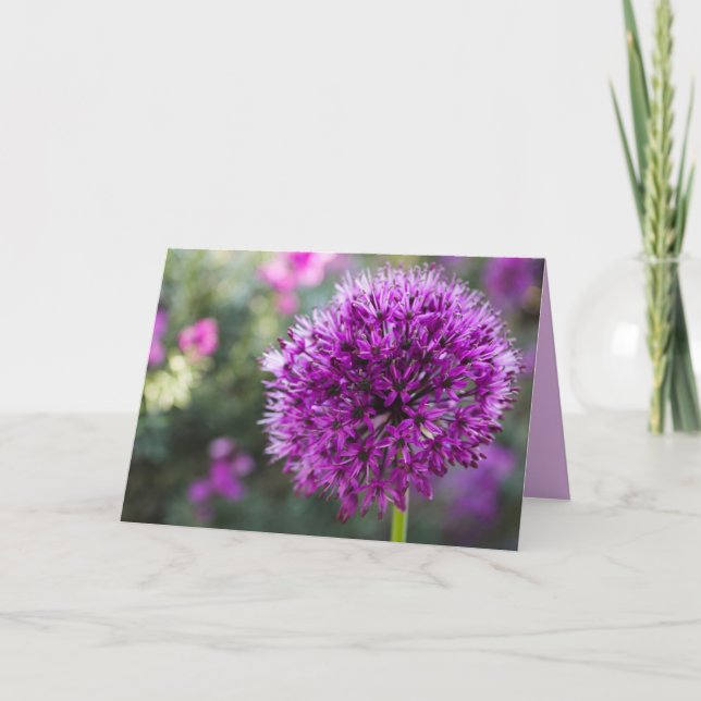 ALLIUM FLOWER THINIKING OF YOU CARDS (Front)