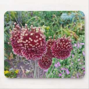 Allium Flowering Onion Plants Mouse Mat