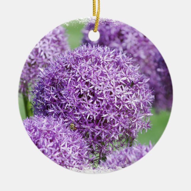 Allium Flowers Ornament (Front)