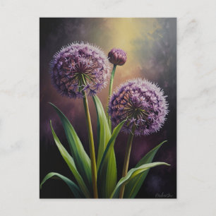 Allium flowers postcard