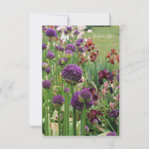 Allium & Iris Flower Bed Card