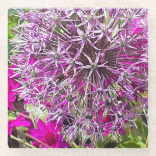 Allium & Summer Flowers Glass Coaster