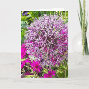 Allium & Summer Flowers Greeting Card