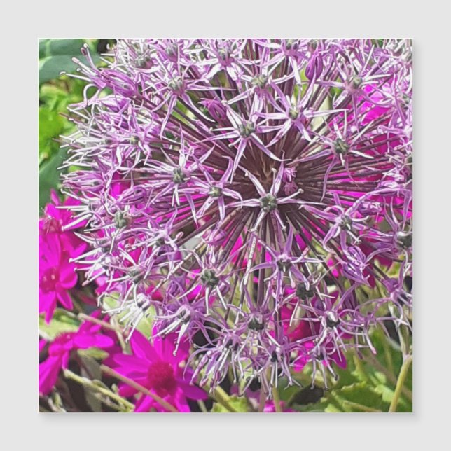 Allium & Summer Flowers Magnetic Card (Front)