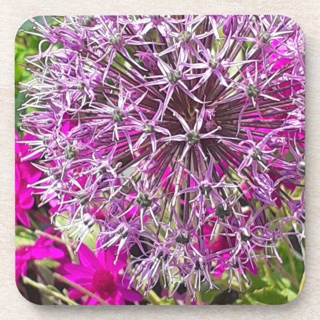 Allium & Summer Flowers Plastic Coaster (Front)