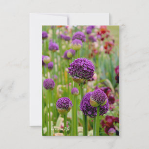 Alliums Card