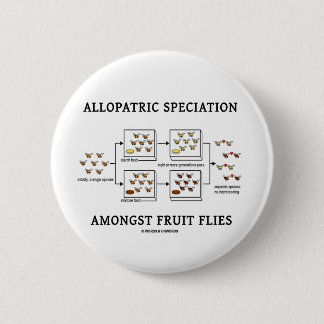Allopatric Speciation Amongst Fruit Flies 6 Cm Round Badge