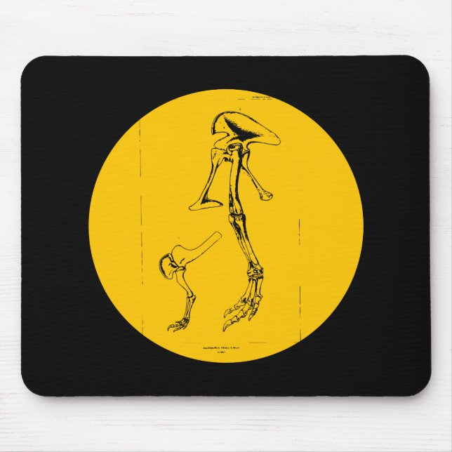 Allosaurus Fragilis Mouse Mat (Front)