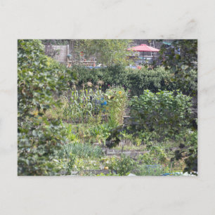 Allotments at Hebden Bridge Postcard