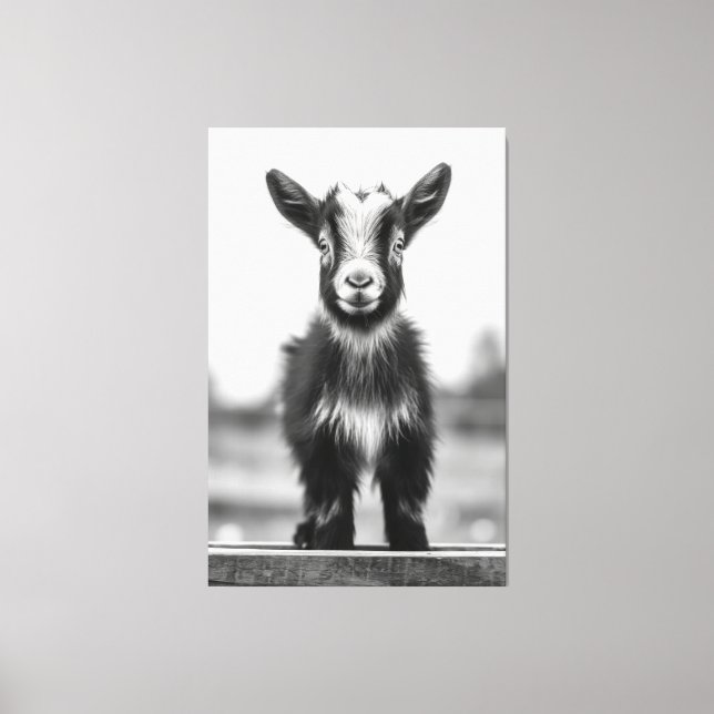 Alluring Monochromatic Graceful Baby Goat Portrait Canvas Print (Front)
