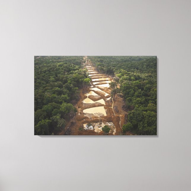 Alluvial Gold Mining. Rainforest, Guyana. Canvas Print (Front)