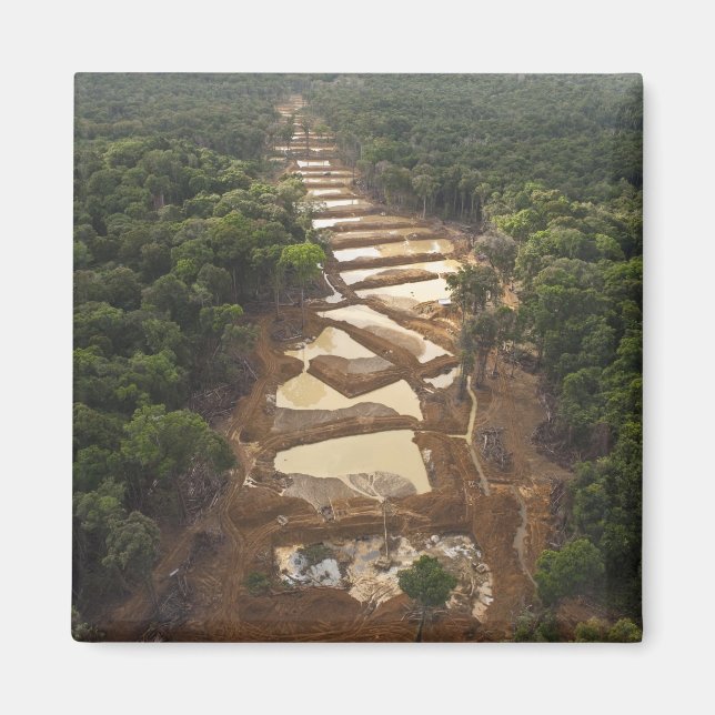 Alluvial Gold Mining. Rainforest, Guyana. Magnet (Front)