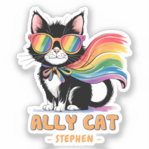 Ally Cat – Rainbow Cat LGBTQ Pride
