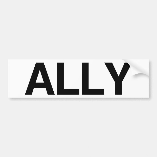 ALLY - .png Bumper Sticker (Front)