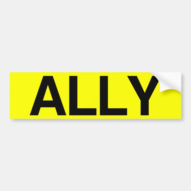 ALLY - .png Bumper Sticker (Front)