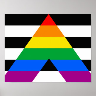 Ally Pride Flag Poster