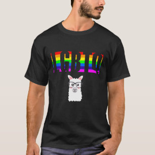 Ally Pride LGBTQ Equality Rainbow Lesbian Gay Tran T-Shirt