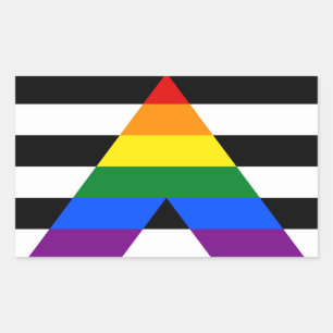 Ally Pride Rectangle Sticker