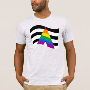 Ally Pride T-Shirt