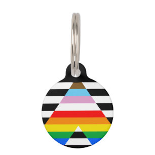 Ally Progress Pride Flag Pet Tag