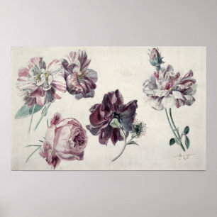Alma-Tadema   Roses Poster