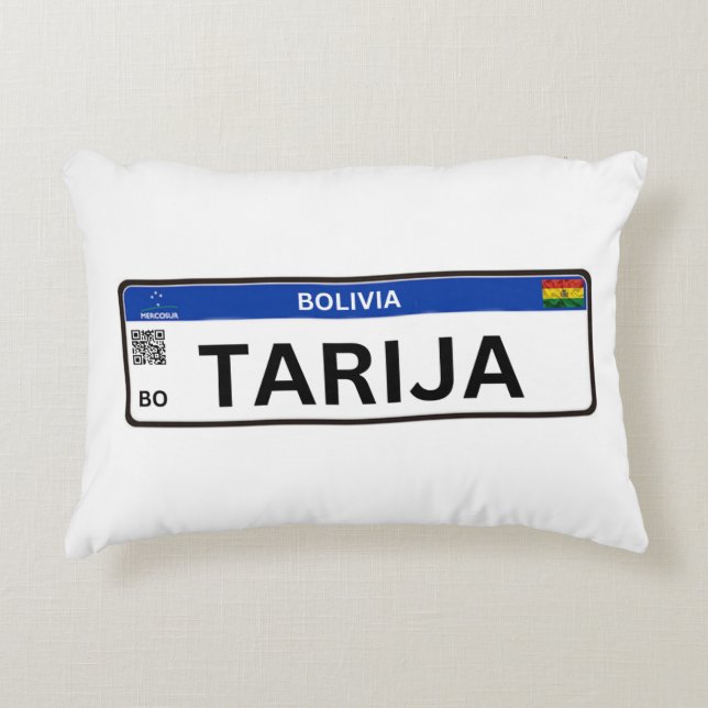 Almohada Came to Stay Decorative Cushion (Front)