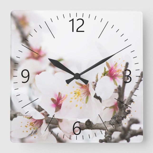 Almond blooming square wall clock (Front)