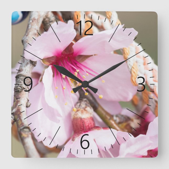 Almond blooming square wall clock (Front)