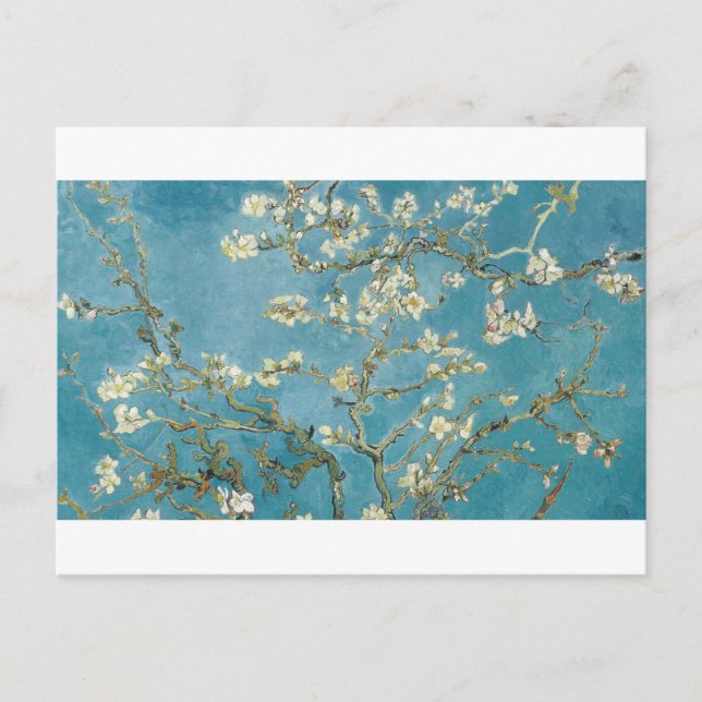 Almond Blossom by Vincent van Gogh Postcard (Front)