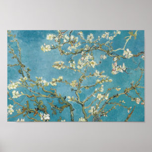 Almond Blossom by Vincent van Gogh Poster