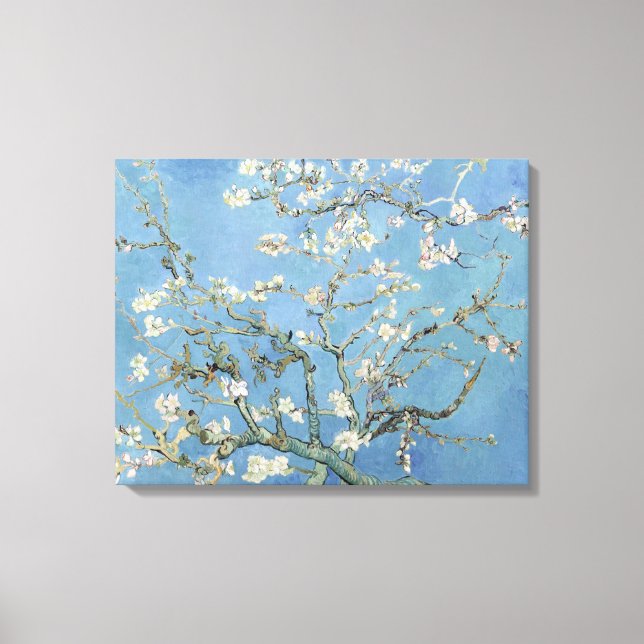 Almond Blossom Canvas Print (Front)
