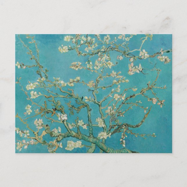 Almond Blossom, Oil Painting, Vincent Van Gogh Postcard (Front)