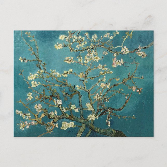 Almond Blossom Postcard (Front)